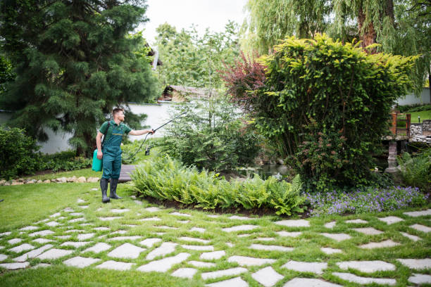 Best Pest Control Cost  in Providence, KY
