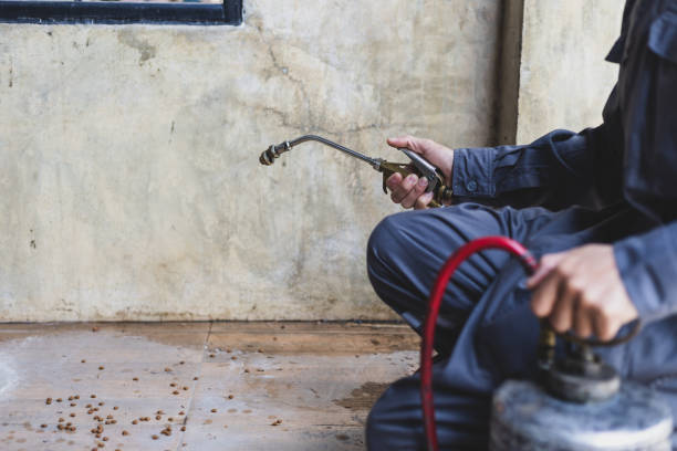 Best Best Pest Control Near Me  in Providence, KY