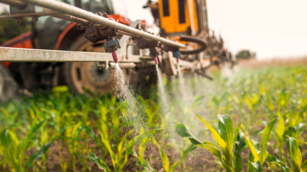 Best Commercial Pest Control Services  in Providence, KY